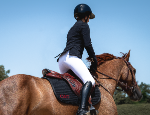 Photo d'un cheval au galop et son cavalier