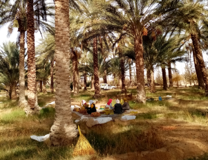 Photo d'une oasis